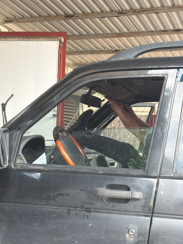Woman plays with cats at Russian auto salvage yard