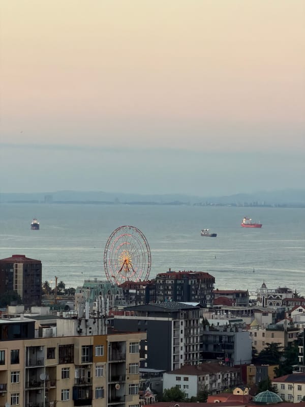 Batumi's urban coastline meets the Black Sea from above