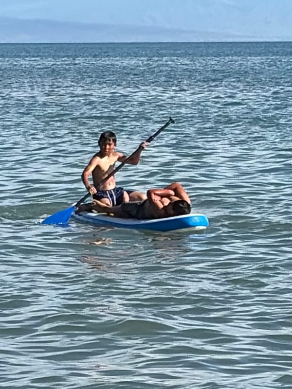 Sunny day paddleboarding session with a dog in the mix