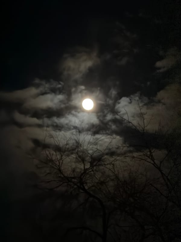 Nighttime scenes captured in Voronezh featuring moon and shopping mall