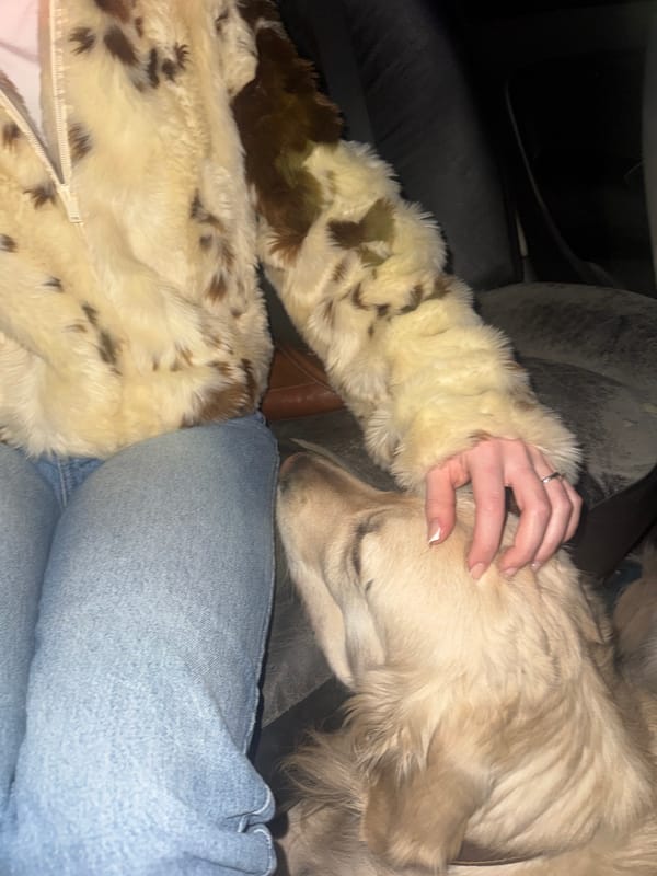 Person in spotted jacket pets dog in Yerevan