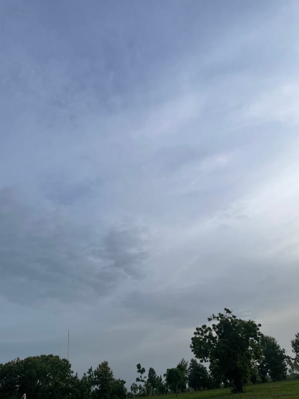 Trees and open sky across a quiet stretch of Jauro Yinu