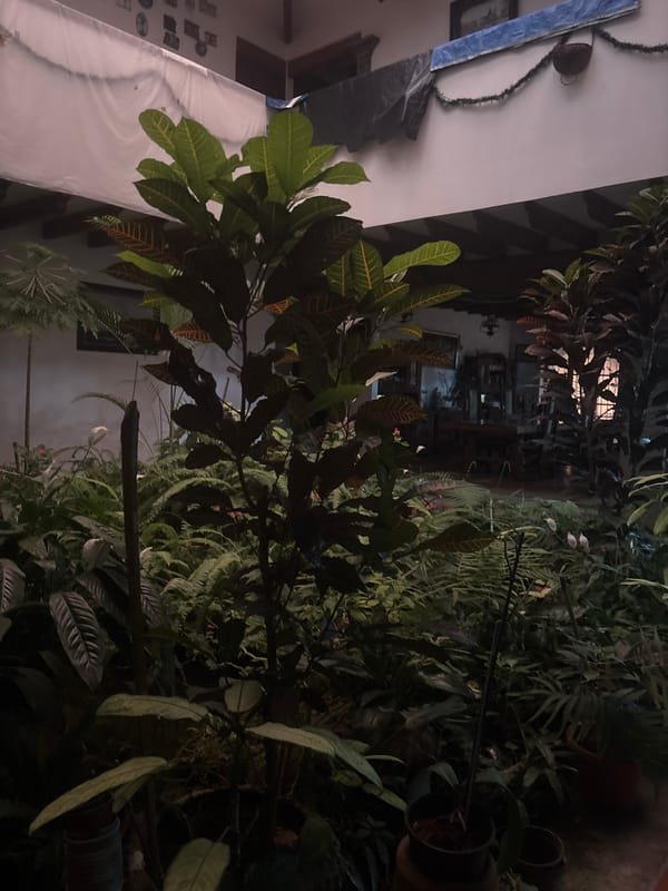 Tropical property in Cuernavaca documented through evening photography session