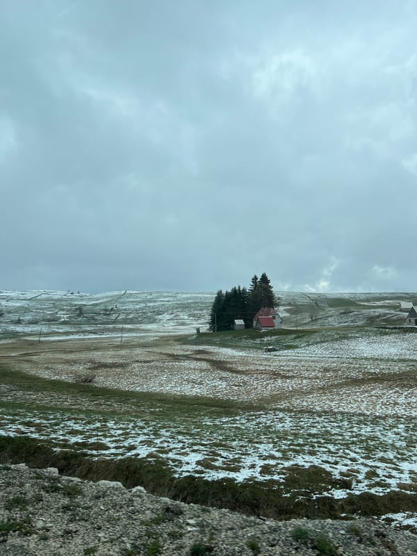Spring landscape documented along Montenegro roadside during overcast afternoon