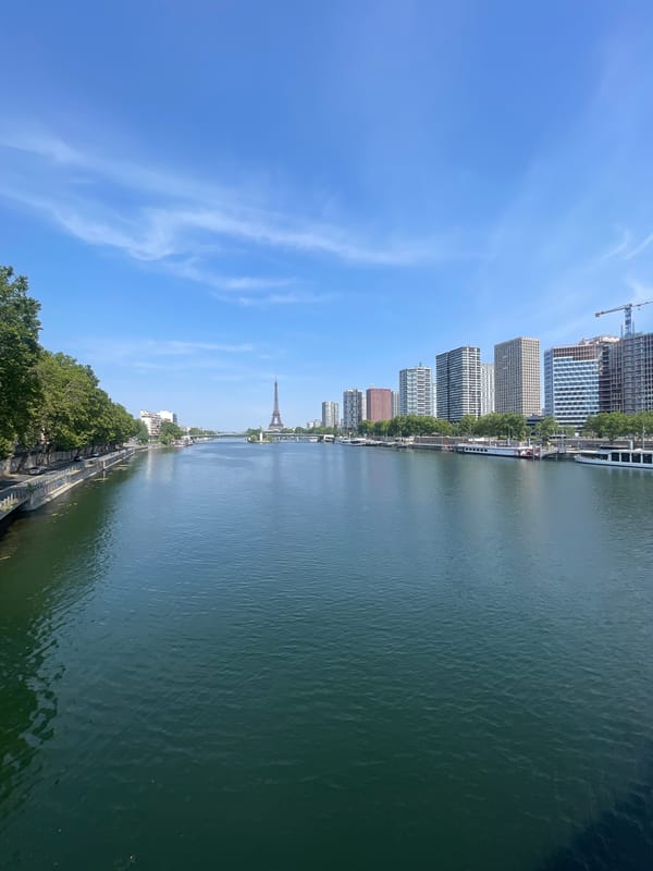 Seine views on Bastille Day, Eiffel Tower in the background