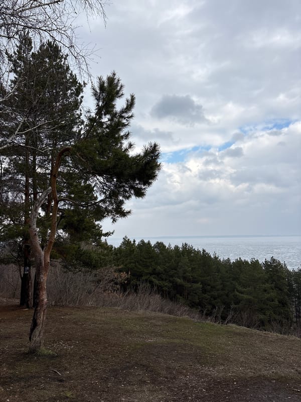 Spring outdoor activities documented across Ulyanovsk forest areas