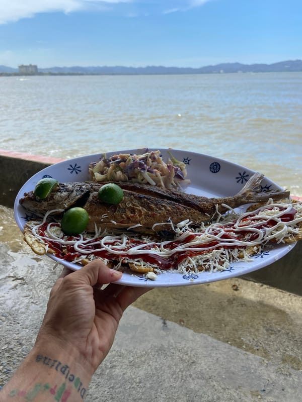 Daily life documented in Higuerote Venezuela coastal town