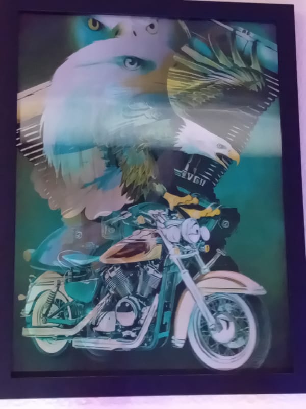 Domestic evening moments captured in Figueira da Foz home