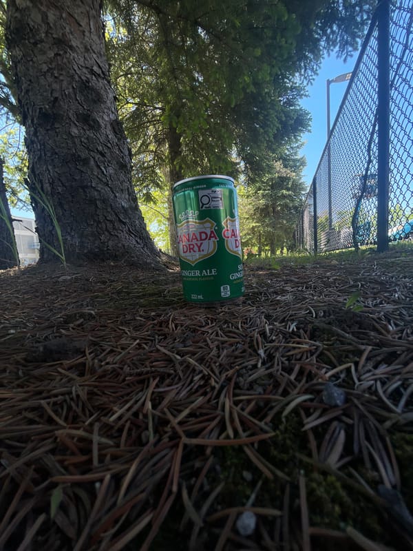 Ginger ale can spotted on forest floor in Ottawa