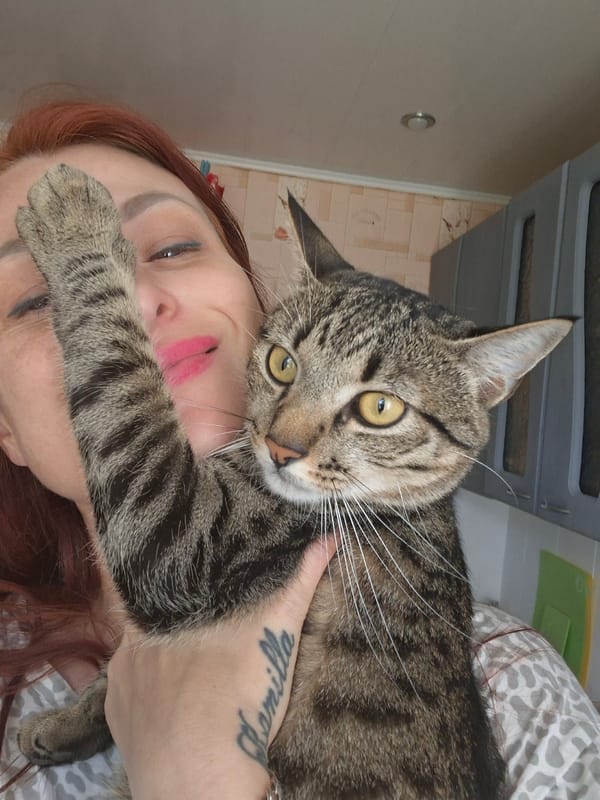 Two dressed-up cats at home in Myadzyel, Belarus
