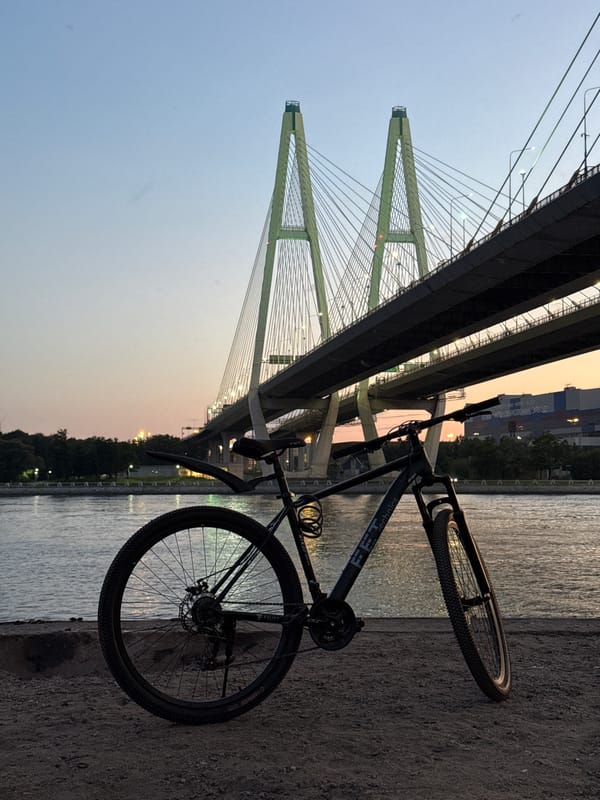 Bikes and a bridge at the waterfront, dusk