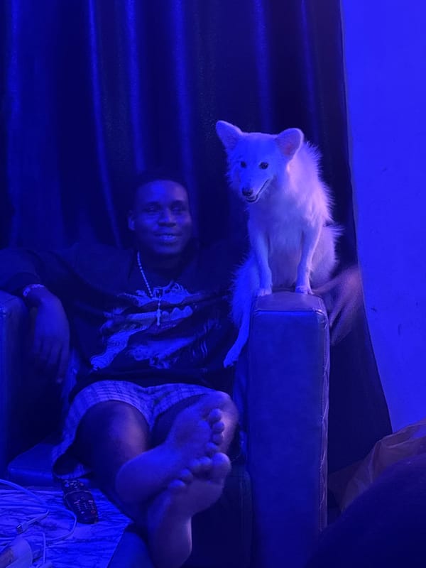 Person and dog relax indoors in Ikot Ekpene home