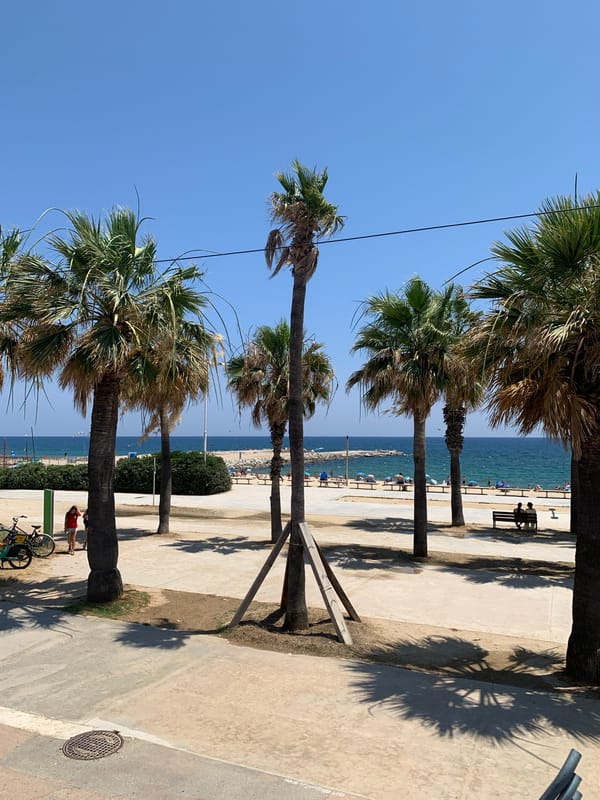 Barcelona's waterfront buzzing on a sunny June afternoon