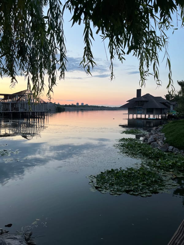Weeping willow frames a calm lake at dusk