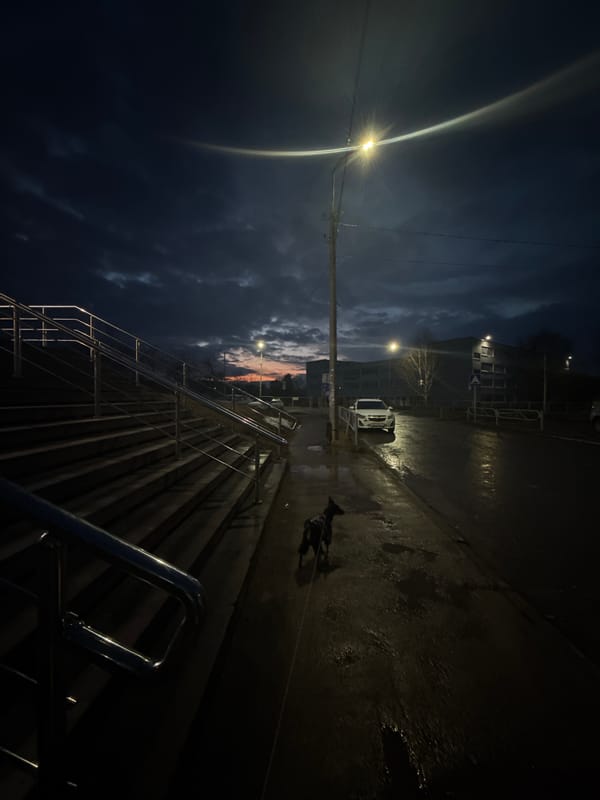 Pets and art captured in quiet Chaikovsky moments
