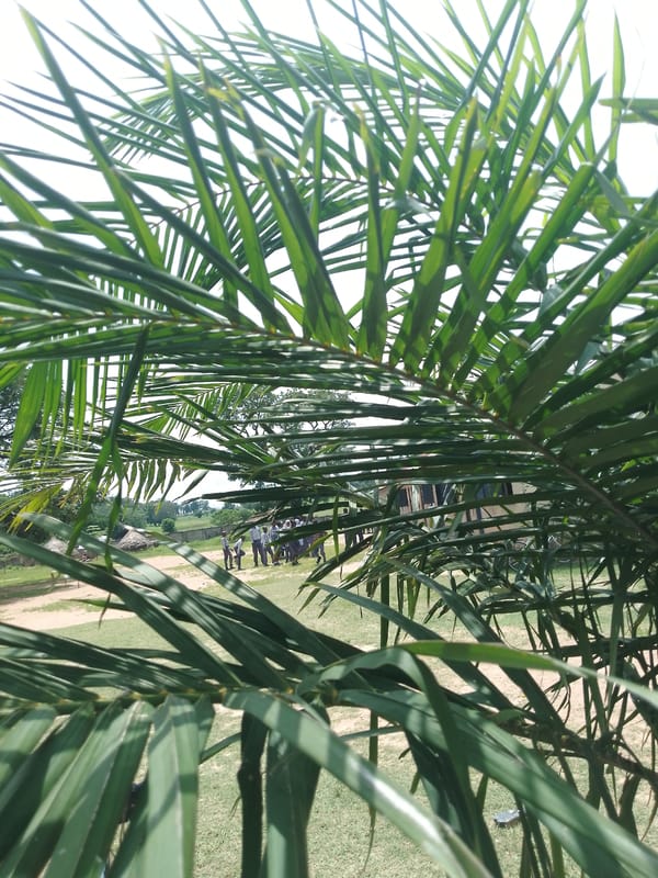 Morning street life and market activity in Serti, Nigeria