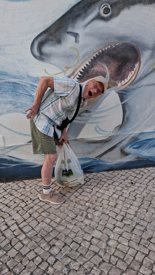 Afternoon stroll through Setúbal's harbor streets and waterfront