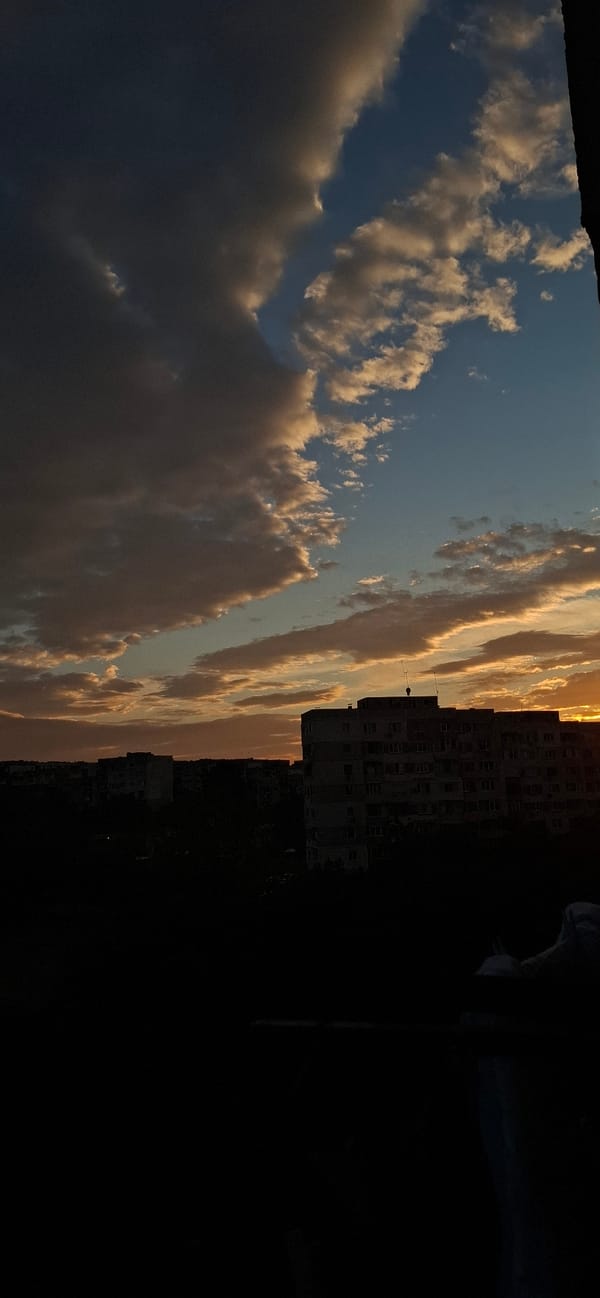 Sofia sunset skyline with a cactus flower blooming close by
