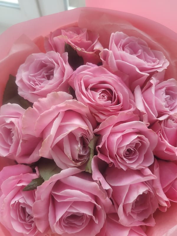 Woman holds pink rose bouquet in Izhevsk, Russia