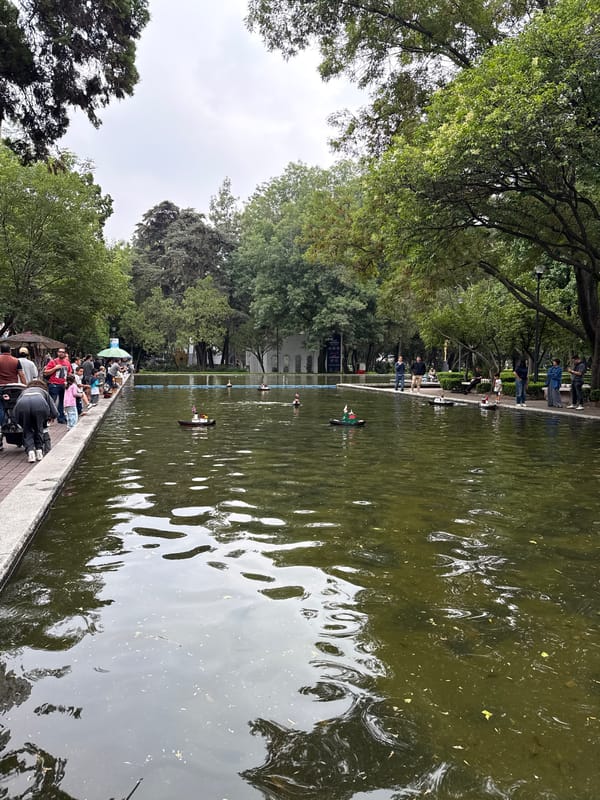 Evening leisure activities documented across Mexico City neighborhoods