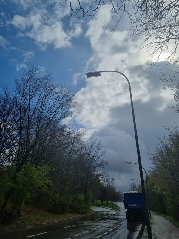 Wet street scene documented in Saarbrücken on overcast day
