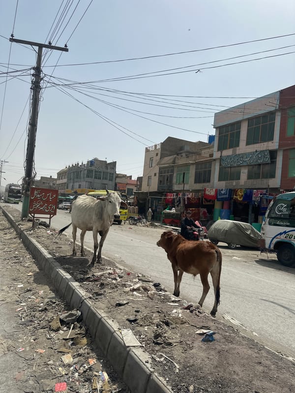 Daily life unfolds in Quetta commercial district