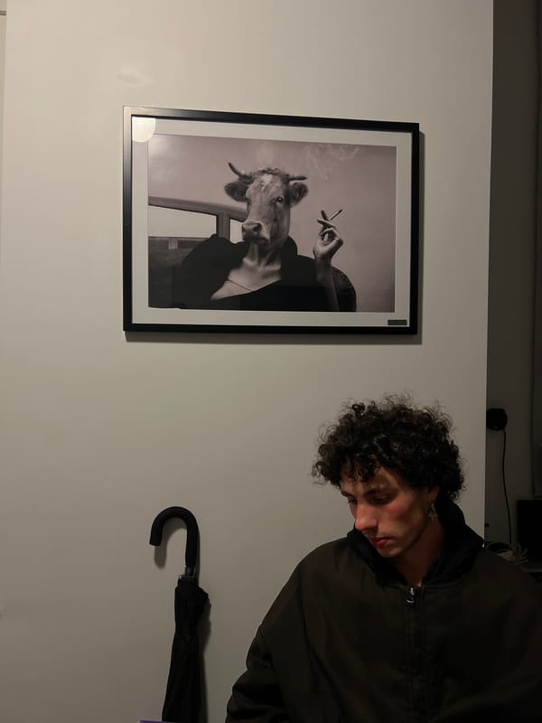 Evening documentation captures indoor and street scenes in Tel Aviv