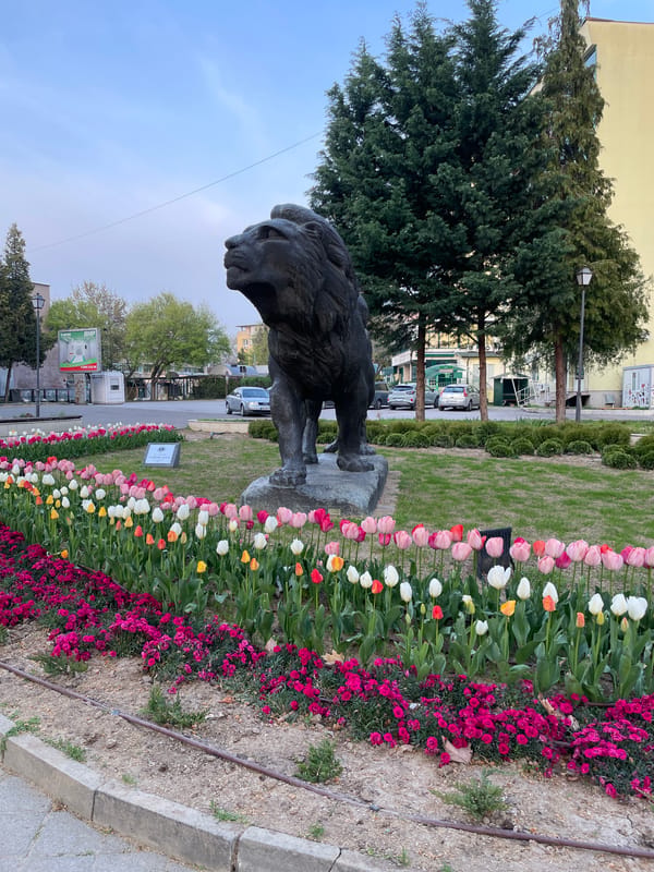 Afternoon scenes captured around Pazardzhik: aircraft, lion statue, puppet theatre