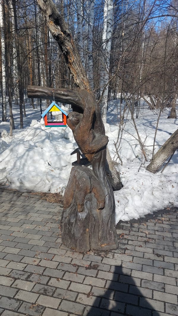 Morning visitors capture wildlife and sculptures around Novosibirsk