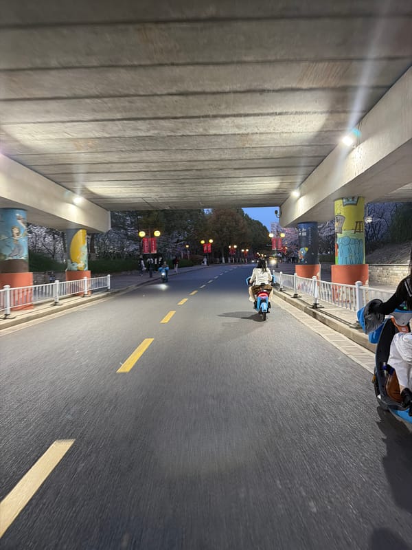 Toy cars, scooters spotted on Jiangning District bike path