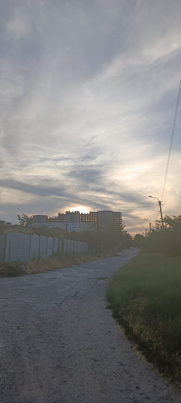 Evening walk with a pit bull through Zaporizhzhia at golden hour