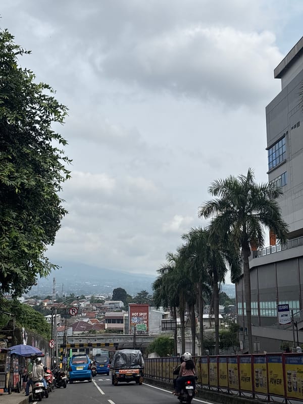 Morning observations capture street scenes and vegetation in Bogor