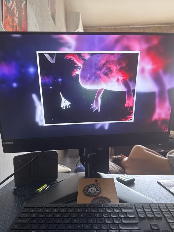 Pink axolotl space wallpaper spotted on computer in Bulgaria