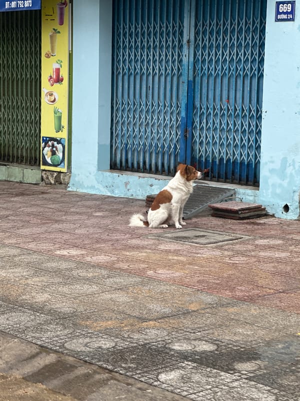 Morning life documented across Nha Trang neighborhoods, Vietnam