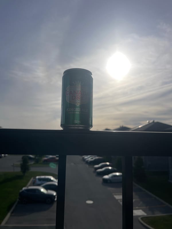 Ginger ale can spotted on railing in Gatineau