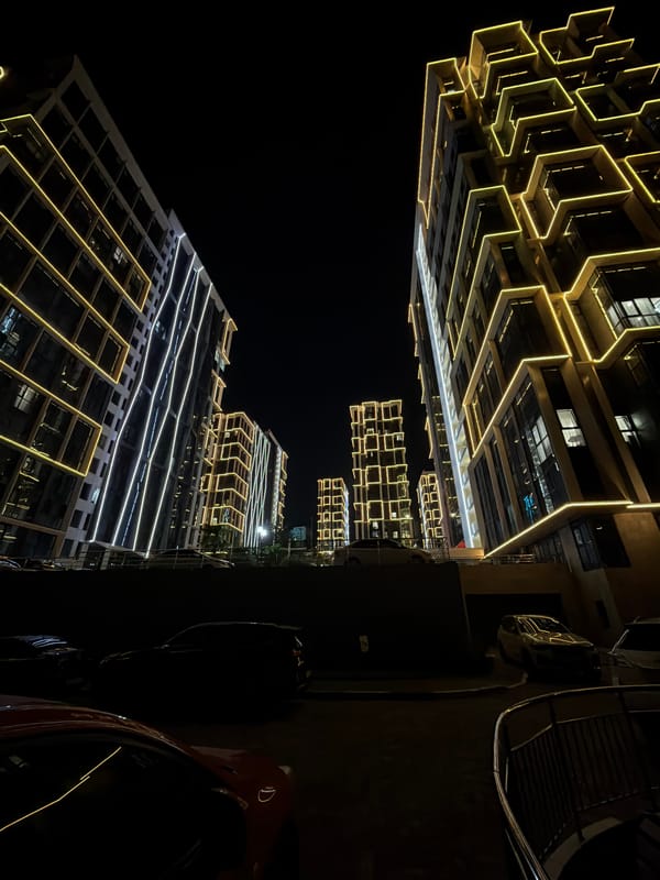 Sochi residential courtyard at night, buildings lit and dogs out
