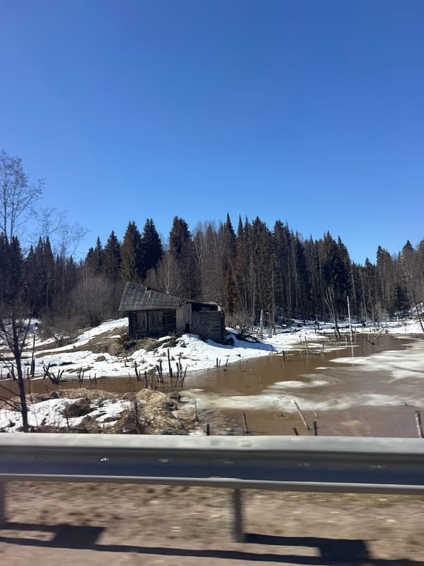 Wooden structure spotted in snowy Russian forest near Okulov