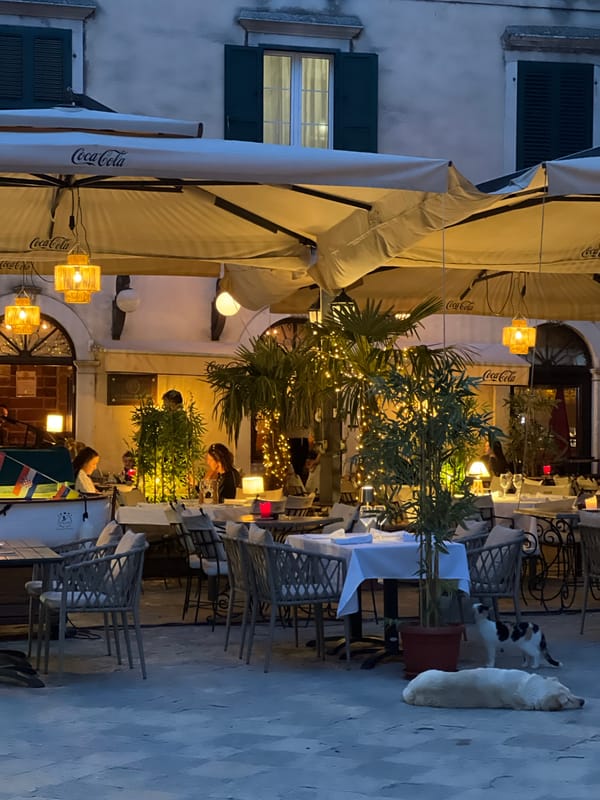Evening stroll through historic Kotor captures local shops and architecture