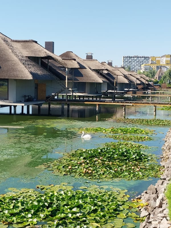 Wildlife and water features at a Dnipro park
