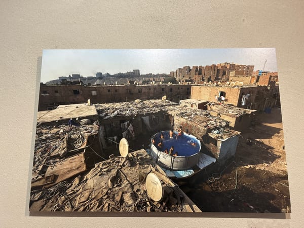 Vienna witnesses document urban rooftops, workers playing basketball