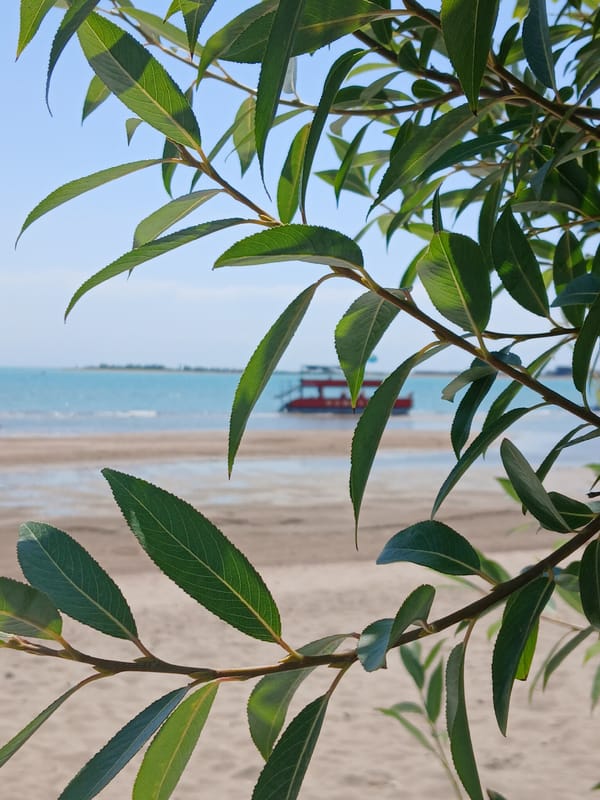 Willow leaves frame a calm turquoise shoreline near Qonaev