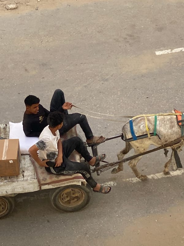 Daily life continues amid damaged buildings in Khan Yunis