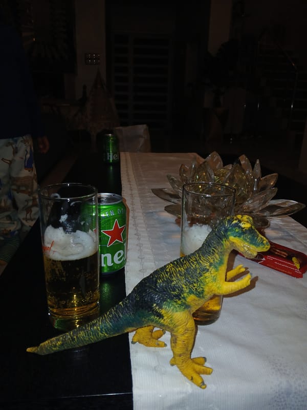 Casual home gathering with beer and toys in Meknes