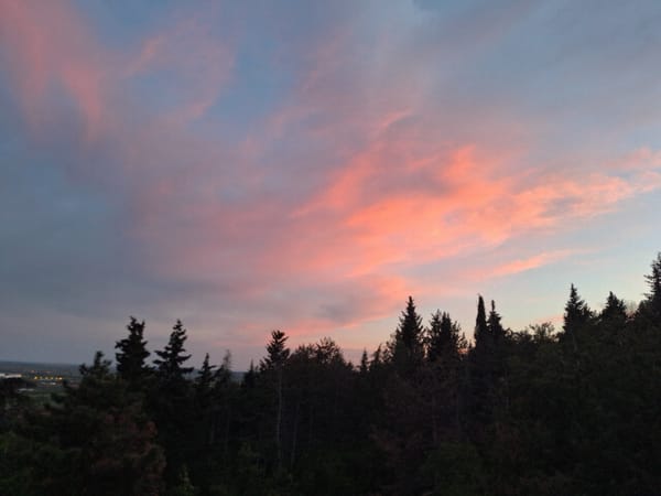 Witness captures sunset over evergreen forest with pink-blue sky