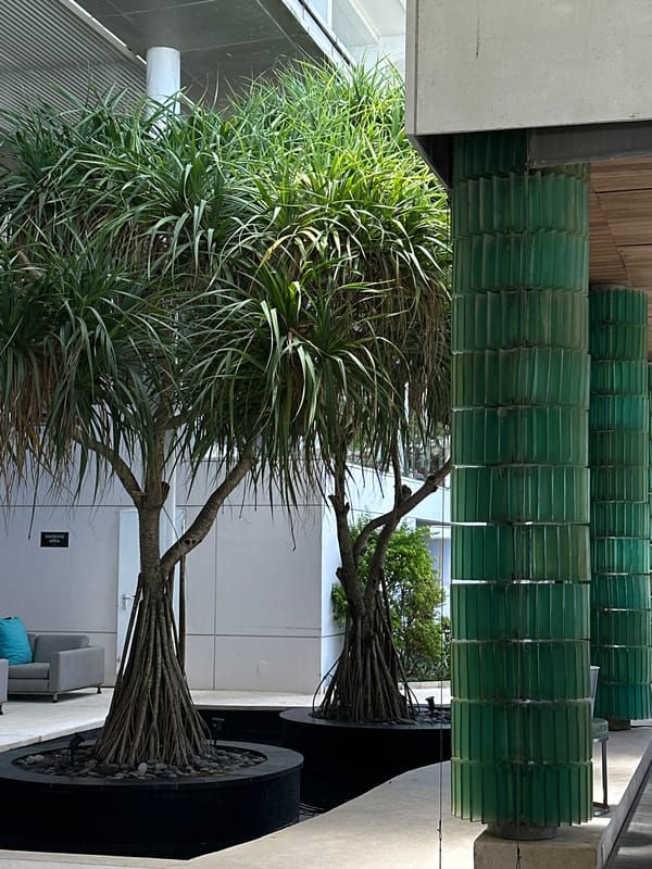 Resort property documented across multiple indoor, outdoor spaces North Kuta