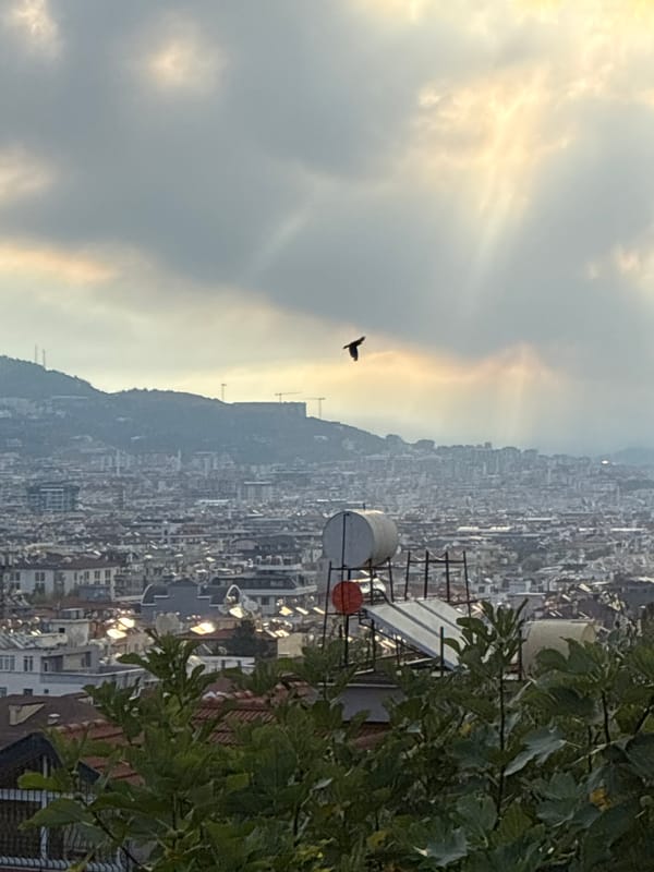 Alanya morning: city views, sea, and a parked Porsche