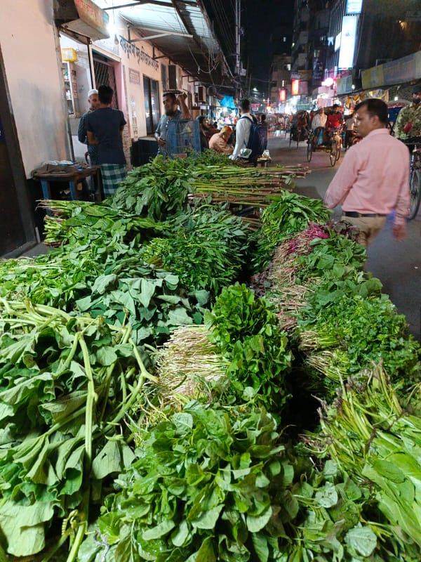 Busy Dhaka marketplace captures fish and vegetable vendors in action