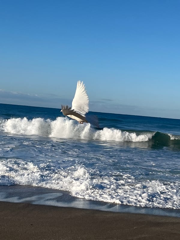 Morning beach scenes captured along Alanya coastline