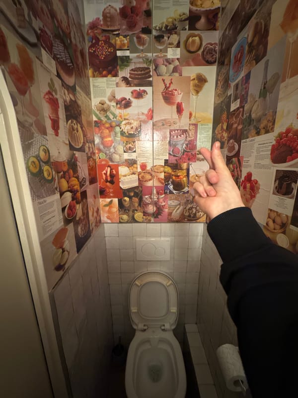 Visitors document quirky newspaper-covered bathroom in Paris
