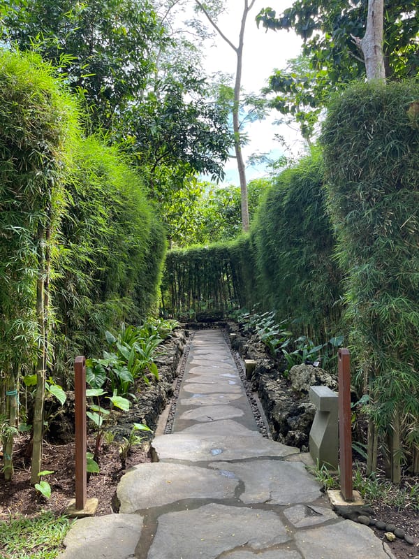 Morning stroll documented at Tevana Garden in Bali